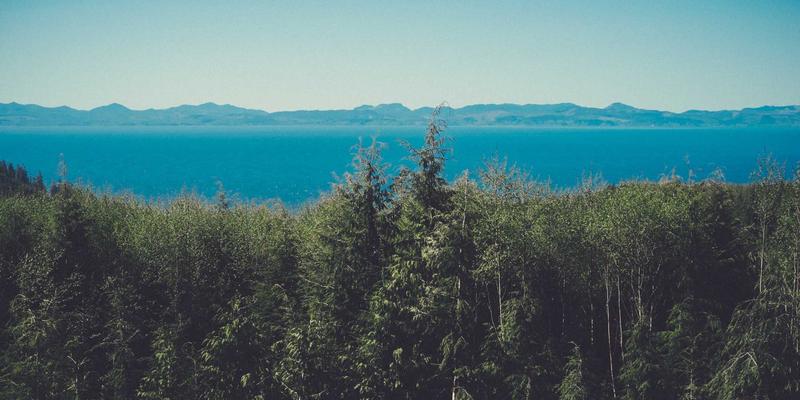 健身房储物柜卫生管理：从金属柜材质选择到日常消毒的全面指南