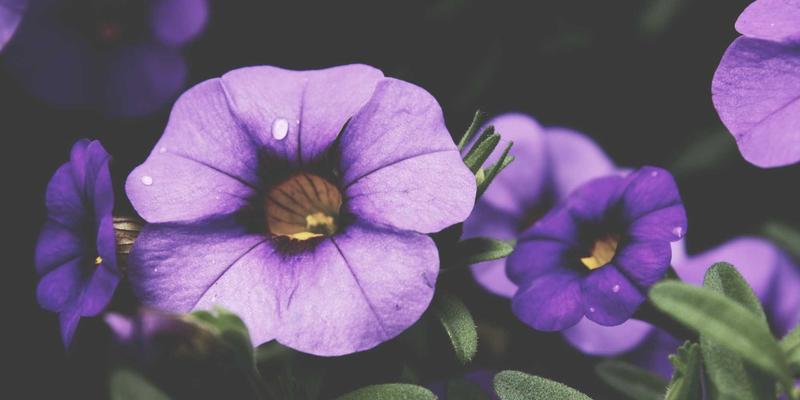 大型赛事储物管理革命：智能储物柜如何实现快速部署、高效疏散与绿色回收