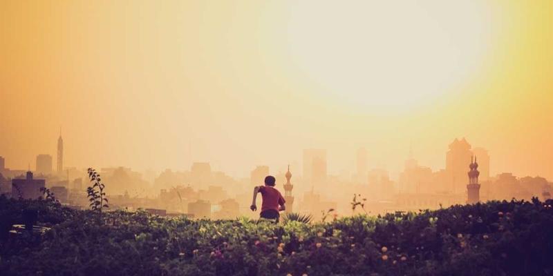 守护科研生命线：生物实验室样本储物柜的三大安全铁律与分级管理全解析